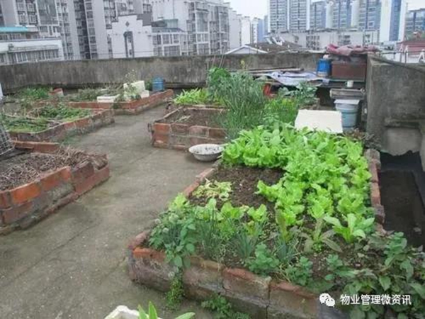 1628494026387266.jpeg 修改图1.jpg