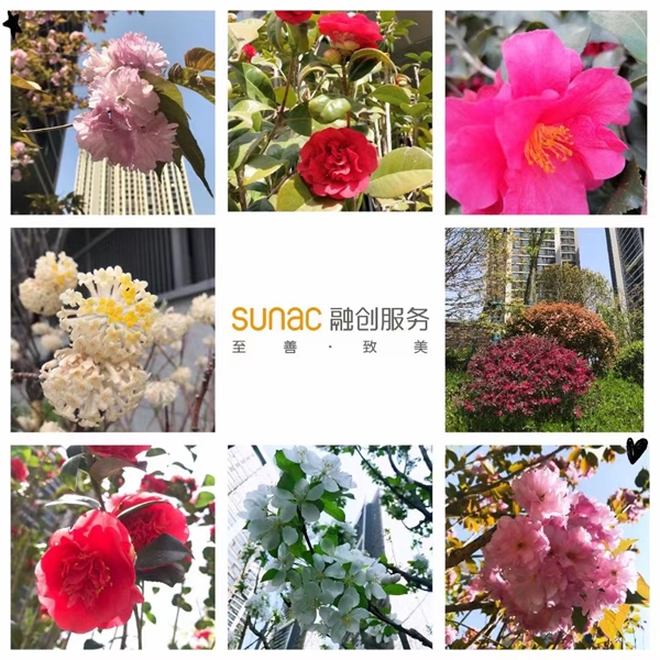1680075833155792.jpg 图片2.jpg
