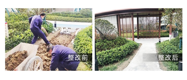 1680075920600343.jpg 图片8.jpg