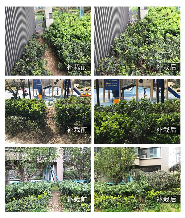 1680075950123619.jpg 图片10.jpg